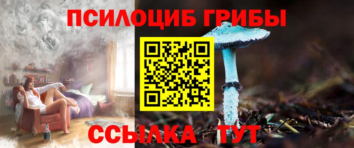 Туймазы  Псилоцибиновые грибы Magic Shrooms  купить закладку  Псилоцибиновые грибы MAGIC MUSHROOMS  Вход с VPN 